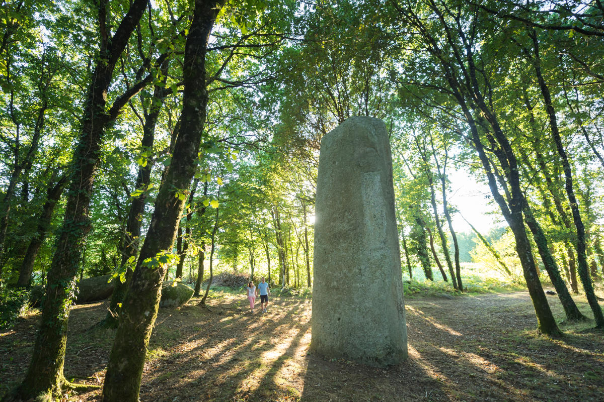 the legendary Brocéliande Forest menhir-in-broceliande-forest